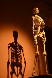 skeleton-457598_640
