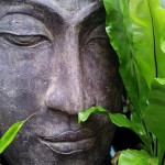 ヴィッパサナー瞑想２０１０京都レポート